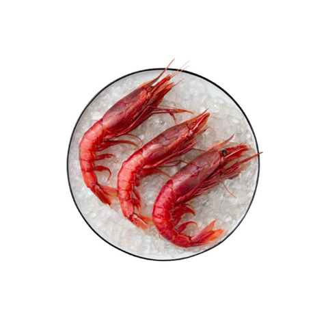 Red Prawn